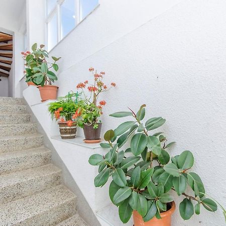 Apartments Zora Starigrad Paklenica Eksteriør bilde